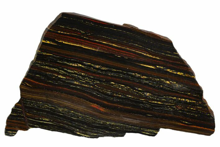 Polished Tiger Iron Stromatolite - Billion Years #129284